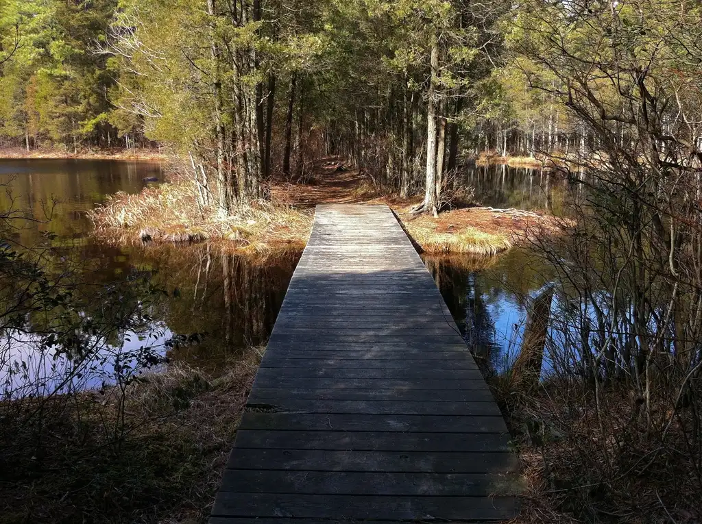 BATONA Trail